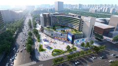 ”这套组合拳成效显著：社新设立企业年增加率